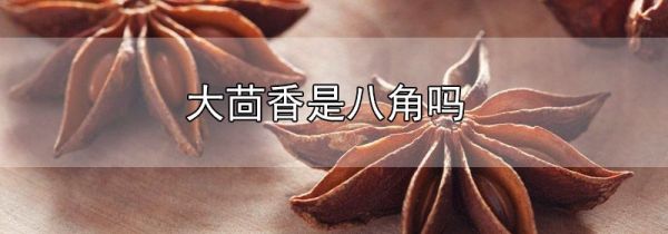 大茴香是八角吗