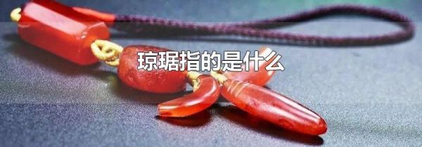 琼琚指的是什么