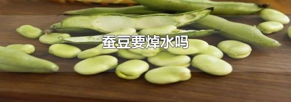 蚕豆要焯水吗