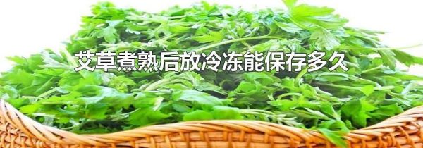 艾草煮熟后放冷冻能保存多久