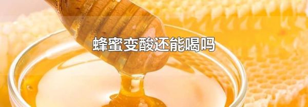 蜂蜜变酸还能喝吗