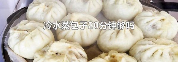 冷水蒸包子20分钟够吗