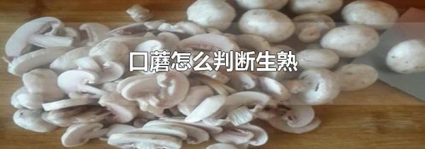 口蘑怎么判断生熟