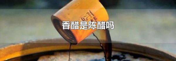 香醋是陈醋吗