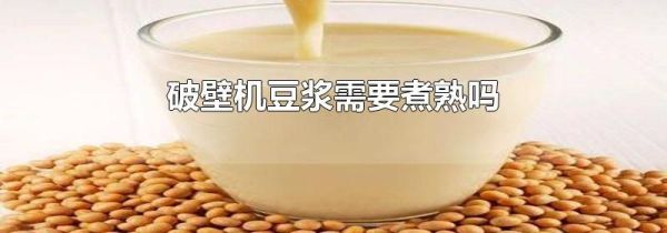 破壁机豆浆需要煮熟吗