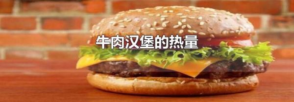 牛肉汉堡的热量