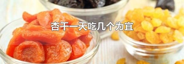 杏干一天吃几个为宜