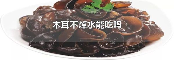 木耳不焯水能吃吗