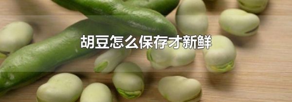 胡豆怎么保存才新鲜