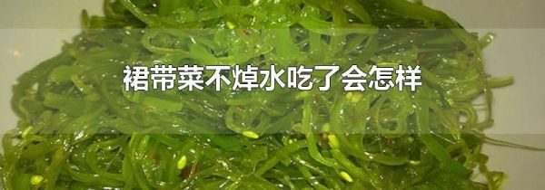 裙带菜不焯水吃了会怎样