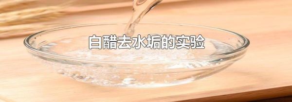 白醋去水垢的实验