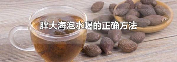 胖大海泡水喝的正确方法