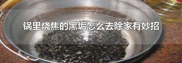 锅里烧焦的黑垢怎么去除家有妙招