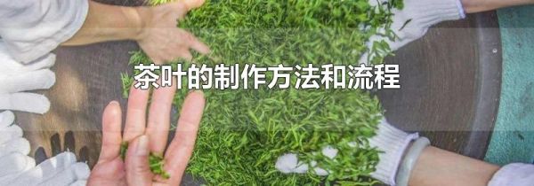 茶叶的制作方法和流程