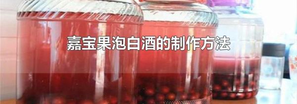 嘉宝果泡白酒的制作方法