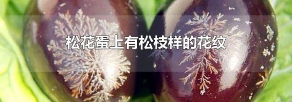 松花蛋上有松枝样的花纹