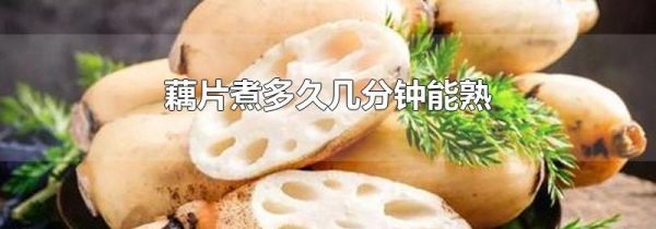 藕片煮多久几分钟能熟