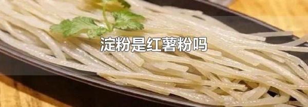 淀粉是红薯粉吗