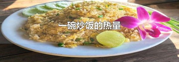 一碗炒饭的热量