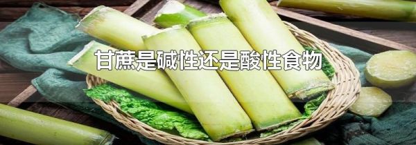 甘蔗是碱性还是酸性食物