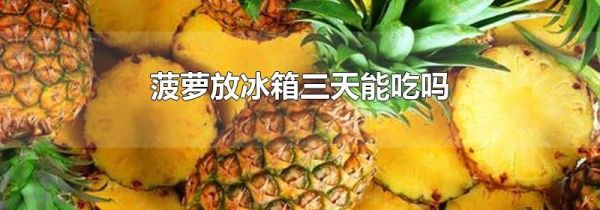 菠萝放冰箱三天能吃吗