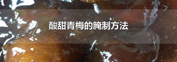 酸甜青梅的腌制方法