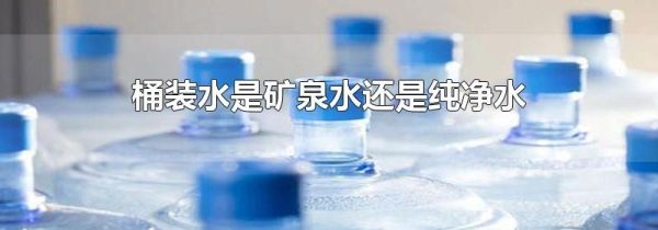 桶装水是矿泉水还是纯净水