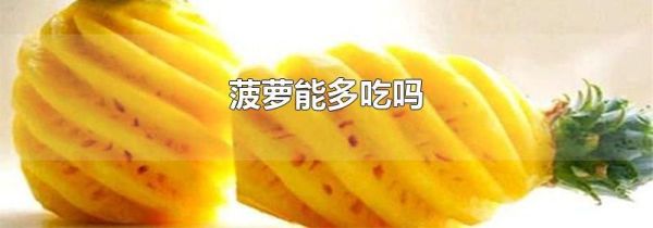 菠萝能多吃吗