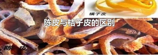 陈皮与桔子皮的区别