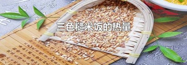 三色糙米饭的热量