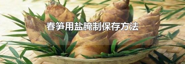 春笋用盐腌制保存方法