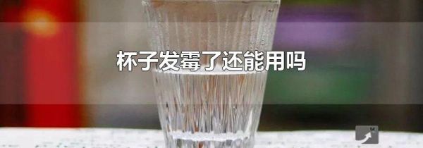 杯子发霉了还能用吗