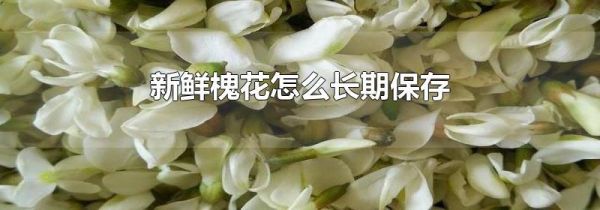 新鲜槐花怎么长期保存