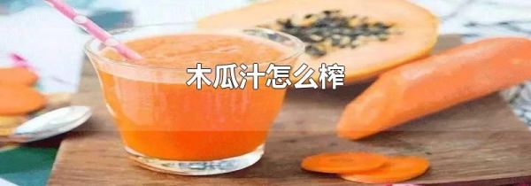 木瓜汁怎么榨