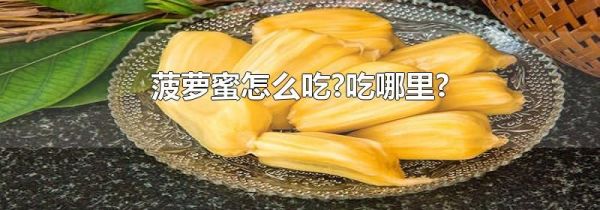 菠萝蜜怎么吃?吃哪里?