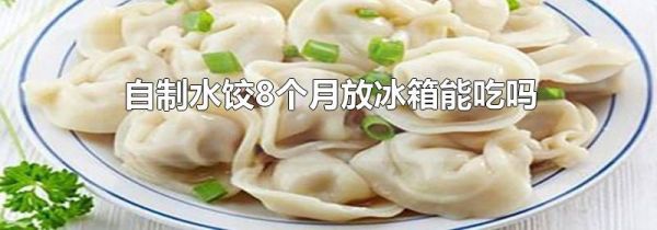 自制水饺8个月放冰箱能吃吗