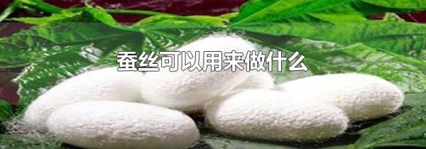 蚕丝可以用来做什么