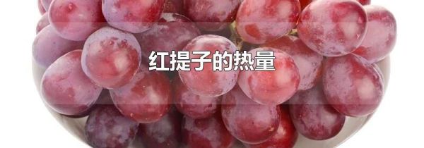 红提子的热量