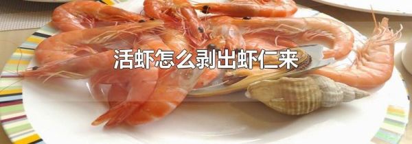 活虾怎么剥出虾仁来