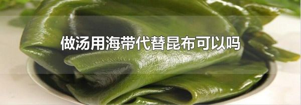 做汤用海带代替昆布可以吗