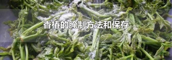 香椿的腌制方法和保存