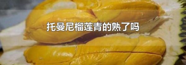 托曼尼榴莲青的熟了吗