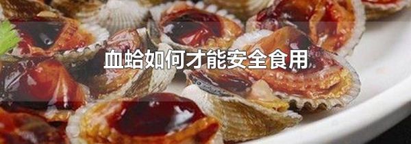 血蛤如何才能安全食用