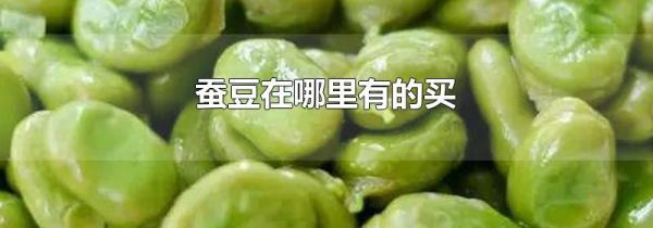 蚕豆在哪里有的买