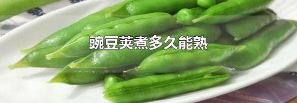 豌豆荚煮多久能熟