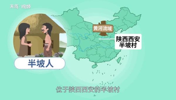 半坡人生活在什么流域  半坡人距今约多少年