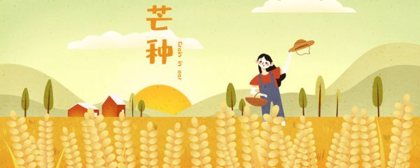 芒种是什么意思 芒种的意思