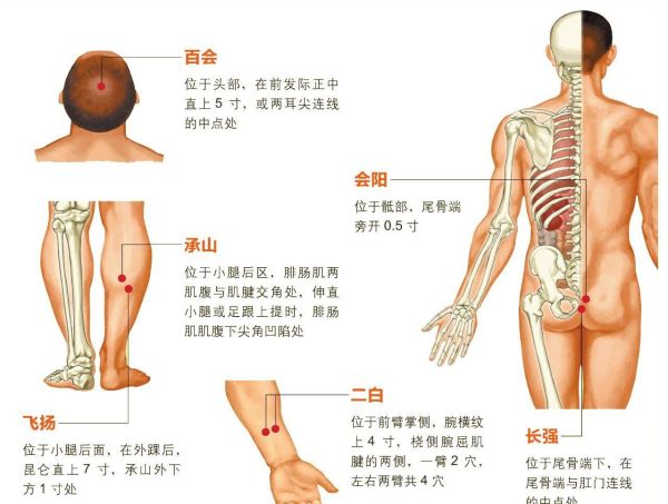 人体有多少穴位？