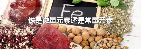 铁是微量元素还是常量元素