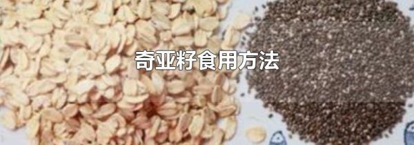 奇亚籽食用方法